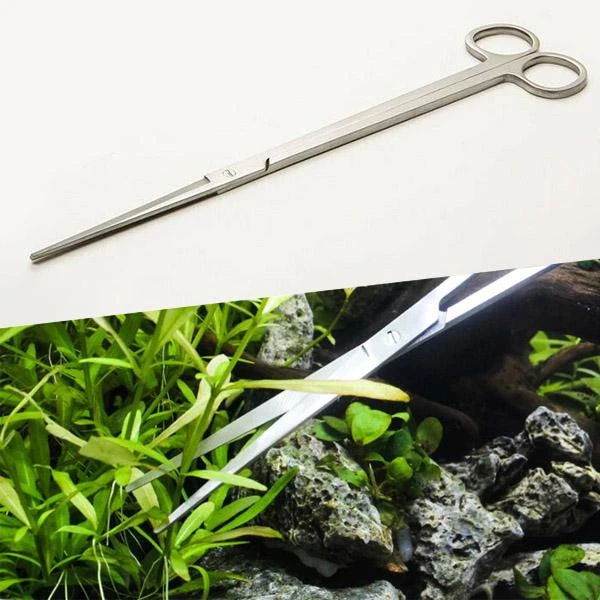 Ciseaux Droits AQUAEL - 25 Cm – Image 2