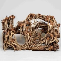 Sculpture Bois Layout Cave AQUADECO L - 60 X 40 Cm