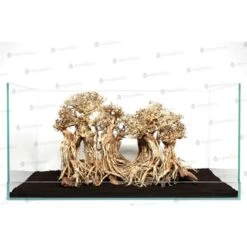 Sculpture Bois Layout Forest AQUADECO S - 40 X 30 Cm