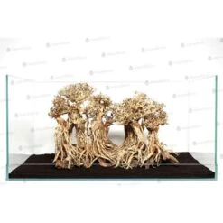 Sculpture Bois Layout Forest AQUADECO L - 60 X 40 Cm