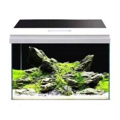 Nano Aquarium Modern Tank 40 LED Équipé AMTRA - 28L