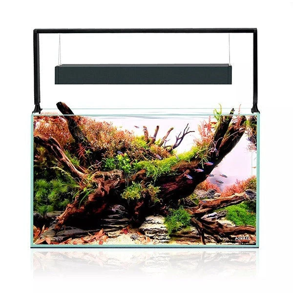 Aquarium UltraScape 60 Set AQUAEL - Forest 64 L – Image 2