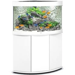 Aquarium Trigon 190 LED Blanc Équipé JUWEL - 190L
