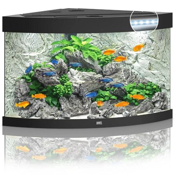 Aquarium Trigon 190 LED Noir Équipé JUWEL - 190L – Image 2