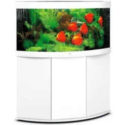 Aquarium Trigon 350 LED Blanc Équipé JUWEL - 350L
