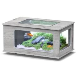 Aquatable 100 X 63 AQUATLANTIS Chêne Blanc - Aquarium Équipé 177 L