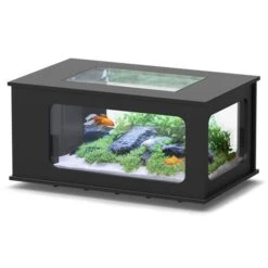 Aquatable 100 X 63 AQUATLANTIS Noir - Aquarium Équipé 177 L