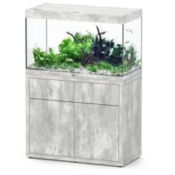 Sublime 100 X 50 AQUATLANTIS Béton - Aquarium Equipé 246 L