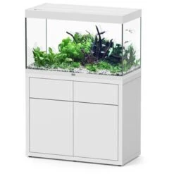 Sublime 100 X 50 AQUATLANTIS Blanc Laqué - Aquarium Equipé 246 L