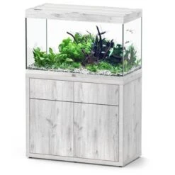 Sublime 100 X 50 AQUATLANTIS Chêne Blanc - Aquarium Equipé 246 L
