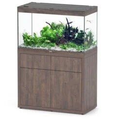 Sublime 100 X 50 AQUATLANTIS Chêne Sauvage - Aquarium Equipé 246 L