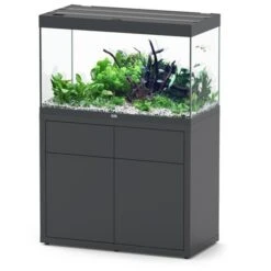 Sublime 100 X 50 AQUATLANTIS Gris Vésuve Laqué - Aquarium Equipé 246 L