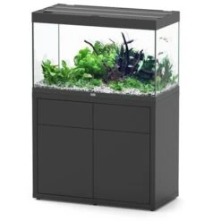 Sublime 100 X 50 AQUATLANTIS Noir Laqué - Aquarium Equipé 246 L