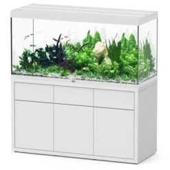 Sublime 150 X 60 AQUATLANTIS Blanc Laqué - Aquarium Equipé 545 L