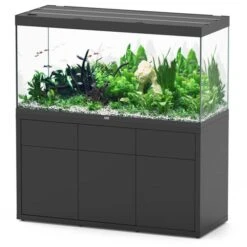 Sublime 150 X 60 AQUATLANTIS Noir Laqué - Aquarium Equipé 545 L