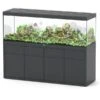 Sublime 200 X 60 AQUATLANTIS Gris Vésuve Laqué - Aquarium Equipé 676 L