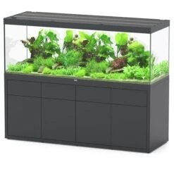 Sublime 200 X 70 AQUATLANTIS Gris Vésuve Laqué - Aquarium Equipé 853 L
