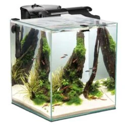 Nano-Aquarium Fish & Shrimp Set Duo 35 Équipé AQUAEL Noir - 49L