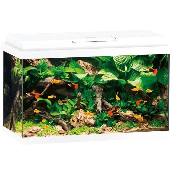 Aquarium Primo 70 LED Blanc Équipé JUWEL - 70L – Image 2