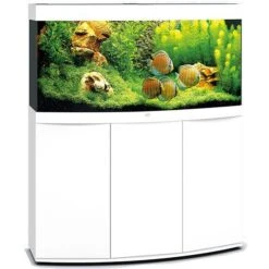 Aquarium Vision 260 LED Blanc Tout Équipé JUWEL - 260L