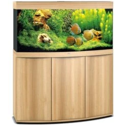 Aquarium Vision 260 LED Chêne Tout Équipé JUWEL - 260L