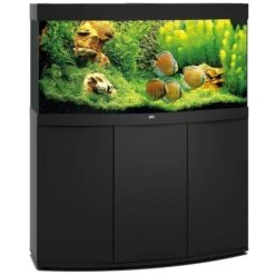 Aquarium Vision 260 LED Noir Tout Équipé JUWEL - 260L