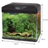 Aquarium Laguna 40 Noir Équipé AMTRA - 30L