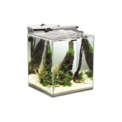 Nano-Aquarium Fish & Shrimp Set Duo 35 Équipé Blanc AQUAEL - 49L