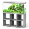 Splendid 120 AQUATLANTIS Standard Béton - Aquarium Equipé 240 L