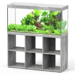 Splendid 120 AQUATLANTIS Standard Béton - Aquarium Equipé 240 L