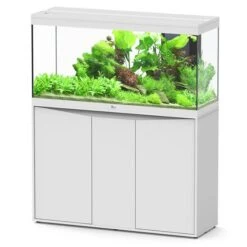 Splendid 120 AQUATLANTIS Blanc - Aquarium Equipé 240 L