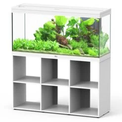 Splendid 120 AQUATLANTIS Standard Blanc - Aquarium Equipé 240 L