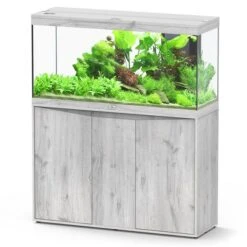 Splendid 120 AQUATLANTIS Chêne Blanc - Aquarium Equipé 240 L