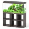 Splendid 120 AQUATLANTIS Standard Chêne Sauvage - Aquarium Equipé 240 L