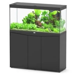 Splendid 120 AQUATLANTIS Noir - Aquarium Equipé 240 L