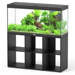 Splendid 120 AQUATLANTIS Standard Noir - Aquarium Equipé 240 L