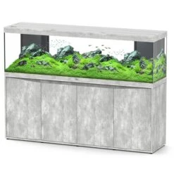 Splendid 200 AQUATLANTIS Béton - Aquarium Equipé 500 L