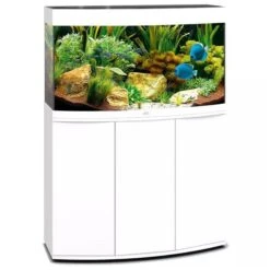 Aquarium Vision 180 LED Blanc Tout Équipé JUWEL - 180L