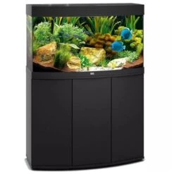 Aquarium Vision 180 LED Noir Tout Équipé JUWEL - 180L
