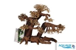 Bois Naturel Arbre Aqua Bonsaï - L / XL 31cm AQUAVIE