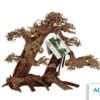 Bois Naturel Arbre Aqua Bonsaï - XL+ AQUAVIE