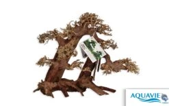 Bois Naturel Arbre Aqua Bonsaï - XL+ AQUAVIE