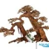 Bois Naturel Arbre Aqua Bonsaï - XL++ AQUAVIE