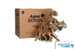 Bois Naturel Arbre Aqua Bonsaï - MM 25cm AQUAVIE