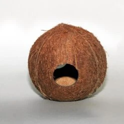 Cocos Cava 1/1 M JBL - Grotte Noix De Coco