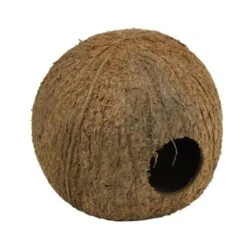 Cocos Cava 3/4 L JBL - Grotte Noix De Coco
