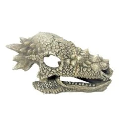 Crâne De Dragon AMTRA - 15,3 Cm