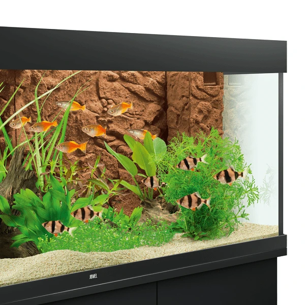 Cache-Filtre 3D Stone Clay JUWEL – Image 4