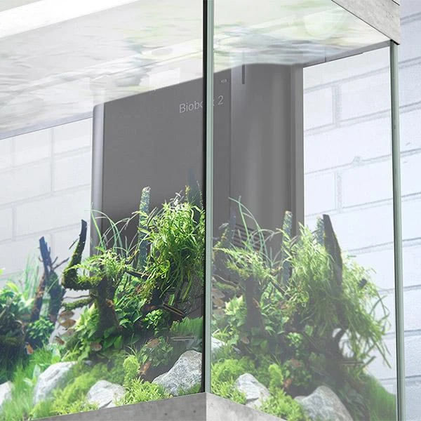 Splendid 200 AQUATLANTIS Béton - Aquarium Equipé 500 L – Image 7