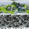 Poster De Fond Double Face Rock & AquaScape L - JUWEL 100 X 50 Cm